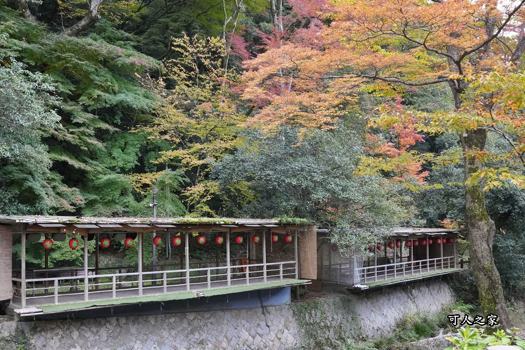 大阪箕面瀑布,大阪自由行,大阪賞楓景點,拍照打卡,日本秋季旅遊,楓葉見頃,瀧安寺紅橋,炸楓葉,箕面瀑布交通,箕面瀑布步道,賞楓攻略