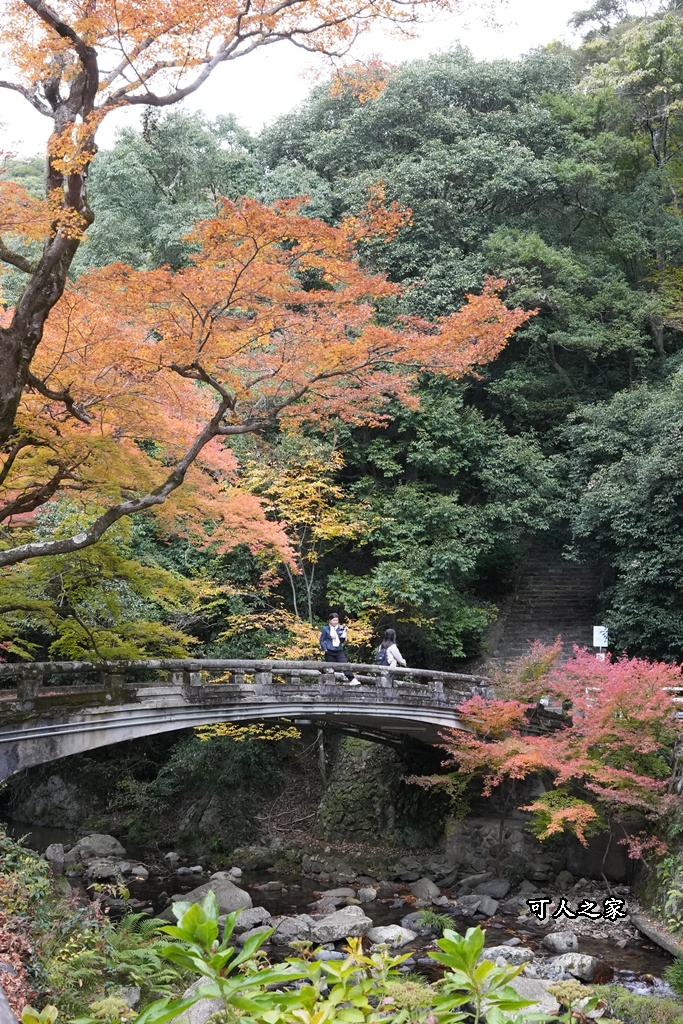 大阪箕面瀑布,大阪自由行,大阪賞楓景點,拍照打卡,日本秋季旅遊,楓葉見頃,瀧安寺紅橋,炸楓葉,箕面瀑布交通,箕面瀑布步道,賞楓攻略
