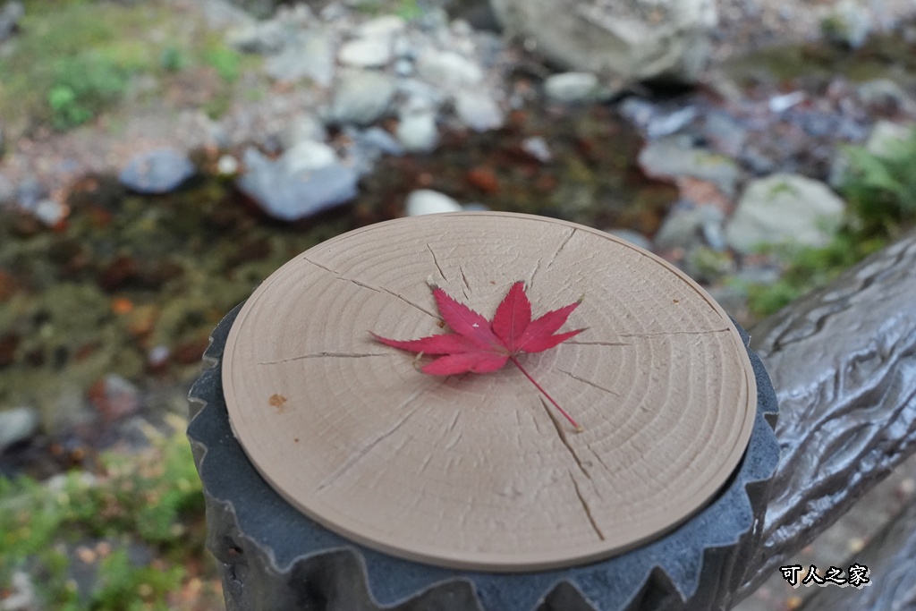 大阪箕面瀑布,大阪自由行,大阪賞楓景點,拍照打卡,日本秋季旅遊,楓葉見頃,瀧安寺紅橋,炸楓葉,箕面瀑布交通,箕面瀑布步道,賞楓攻略