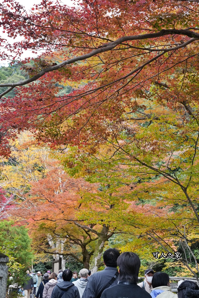 大阪箕面瀑布,大阪自由行,大阪賞楓景點,拍照打卡,日本秋季旅遊,楓葉見頃,瀧安寺紅橋,炸楓葉,箕面瀑布交通,箕面瀑布步道,賞楓攻略