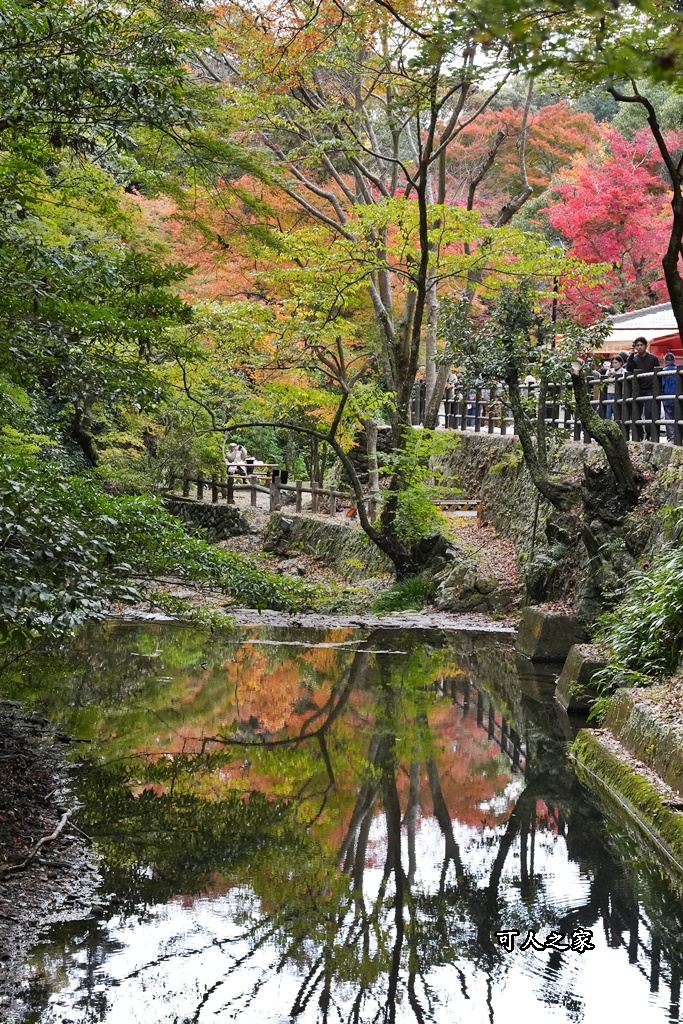 大阪箕面瀑布,大阪自由行,大阪賞楓景點,拍照打卡,日本秋季旅遊,楓葉見頃,瀧安寺紅橋,炸楓葉,箕面瀑布交通,箕面瀑布步道,賞楓攻略