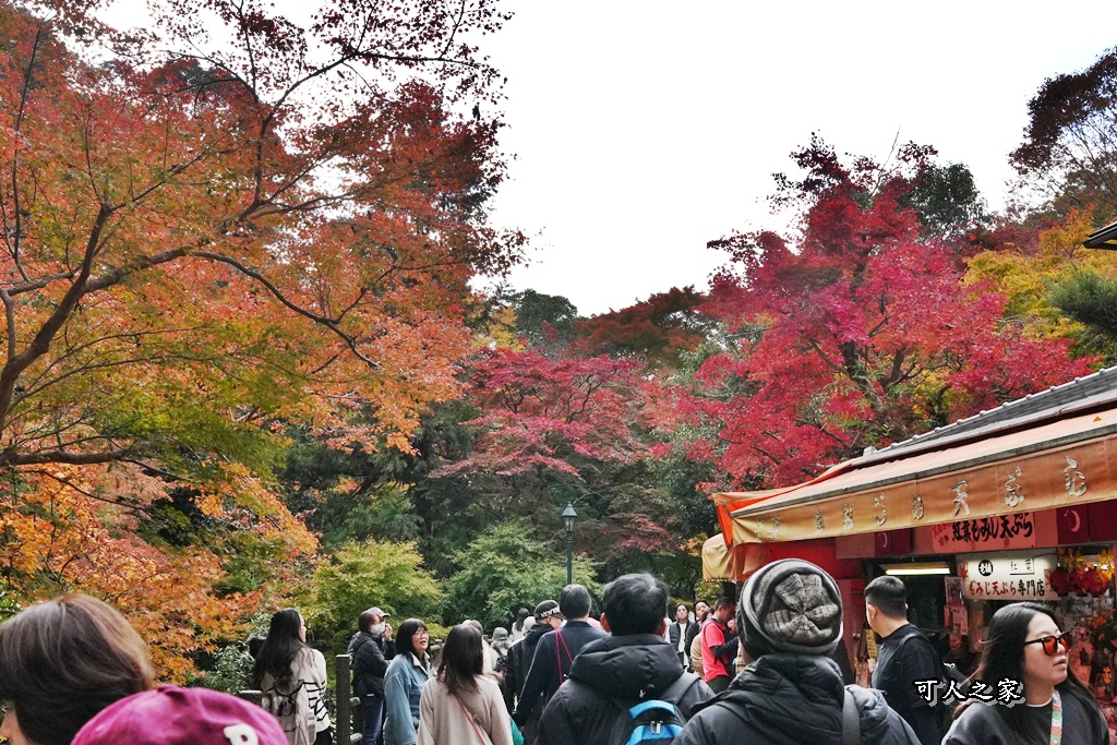 大阪箕面瀑布,大阪自由行,大阪賞楓景點,拍照打卡,日本秋季旅遊,楓葉見頃,瀧安寺紅橋,炸楓葉,箕面瀑布交通,箕面瀑布步道,賞楓攻略