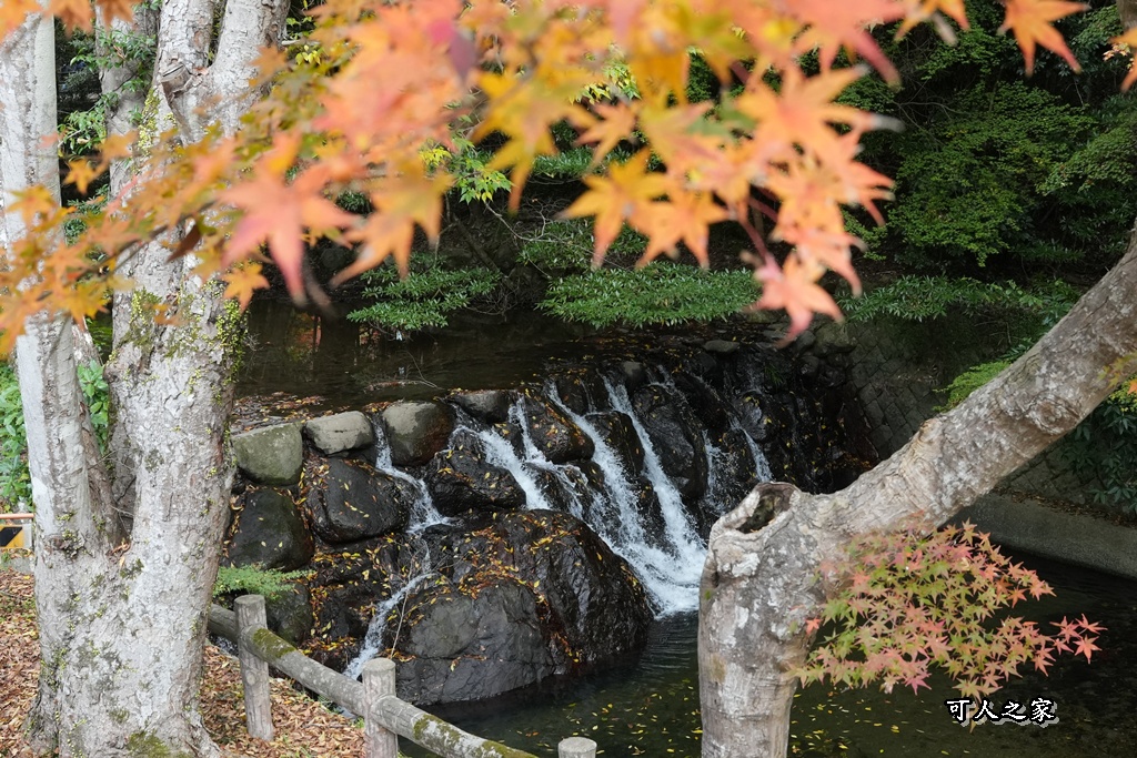 大阪箕面瀑布,大阪自由行,大阪賞楓景點,拍照打卡,日本秋季旅遊,楓葉見頃,瀧安寺紅橋,炸楓葉,箕面瀑布交通,箕面瀑布步道,賞楓攻略
