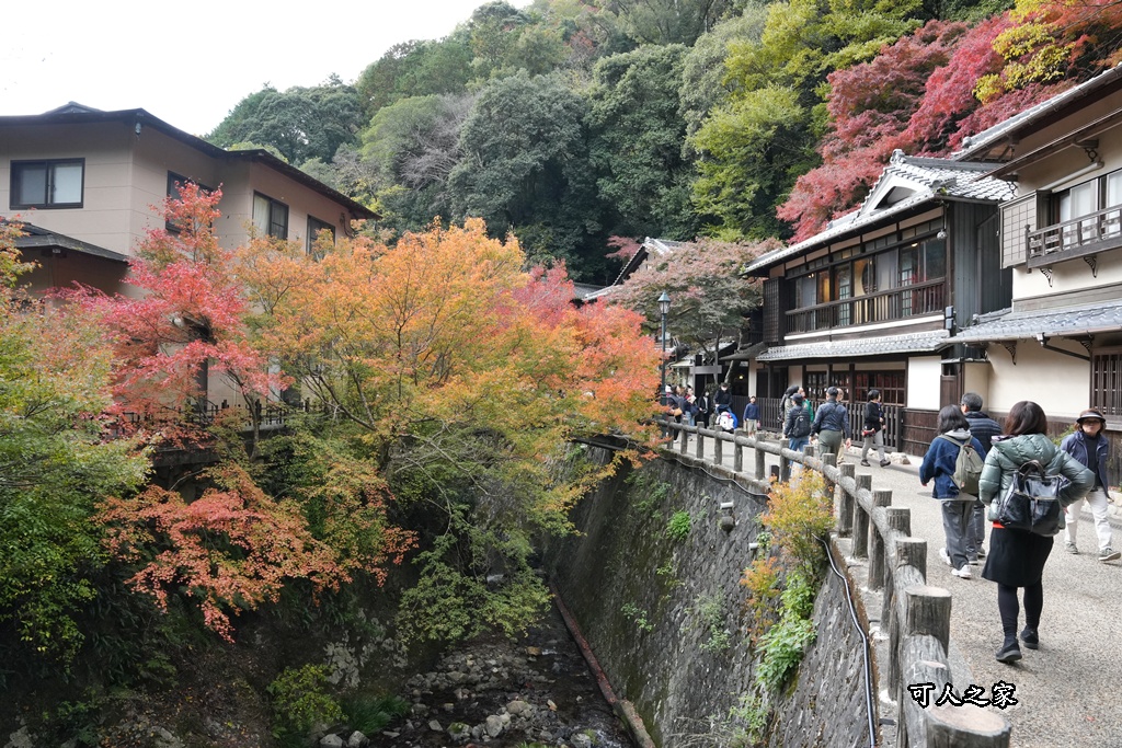 大阪箕面瀑布,大阪自由行,大阪賞楓景點,拍照打卡,日本秋季旅遊,楓葉見頃,瀧安寺紅橋,炸楓葉,箕面瀑布交通,箕面瀑布步道,賞楓攻略