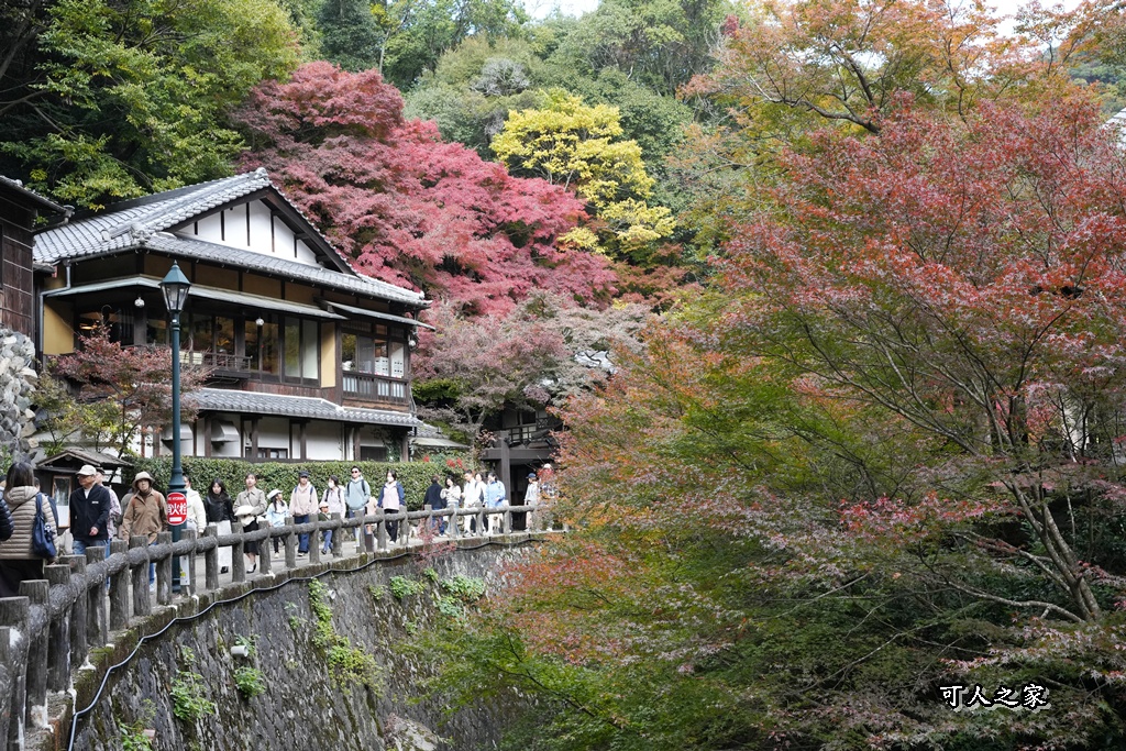 大阪箕面瀑布,大阪自由行,大阪賞楓景點,拍照打卡,日本秋季旅遊,楓葉見頃,瀧安寺紅橋,炸楓葉,箕面瀑布交通,箕面瀑布步道,賞楓攻略