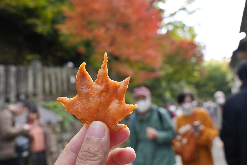 大阪箕面瀑布,大阪自由行,大阪賞楓景點,拍照打卡,日本秋季旅遊,楓葉見頃,瀧安寺紅橋,炸楓葉,箕面瀑布交通,箕面瀑布步道,賞楓攻略