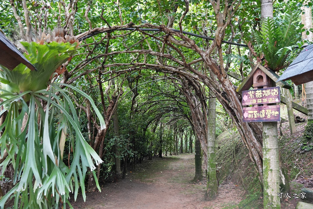 下午茶,仙徠山莊,南投景點,南投美食,國姓景點,小花紫薇,景觀餐廳,森林系餐廳,約會秘境,網美景點,芬多精,鹿角蕨秘境