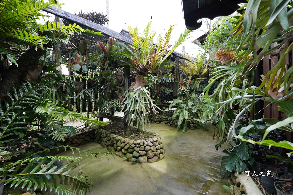 下午茶,仙徠山莊,南投景點,南投美食,國姓景點,小花紫薇,景觀餐廳,森林系餐廳,約會秘境,網美景點,芬多精,鹿角蕨秘境