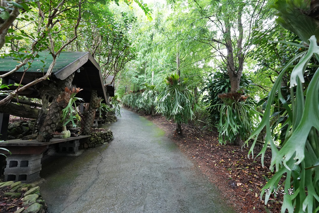 下午茶,仙徠山莊,南投景點,南投美食,國姓景點,小花紫薇,景觀餐廳,森林系餐廳,約會秘境,網美景點,芬多精,鹿角蕨秘境