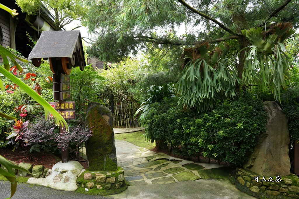 下午茶,仙徠山莊,南投景點,南投美食,國姓景點,小花紫薇,景觀餐廳,森林系餐廳,約會秘境,網美景點,芬多精,鹿角蕨秘境