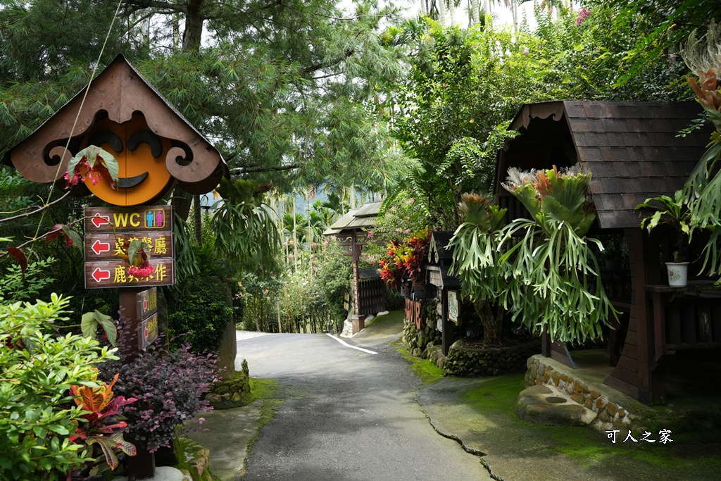 下午茶,仙徠山莊,南投景點,南投美食,國姓景點,小花紫薇,景觀餐廳,森林系餐廳,約會秘境,網美景點,芬多精,鹿角蕨秘境