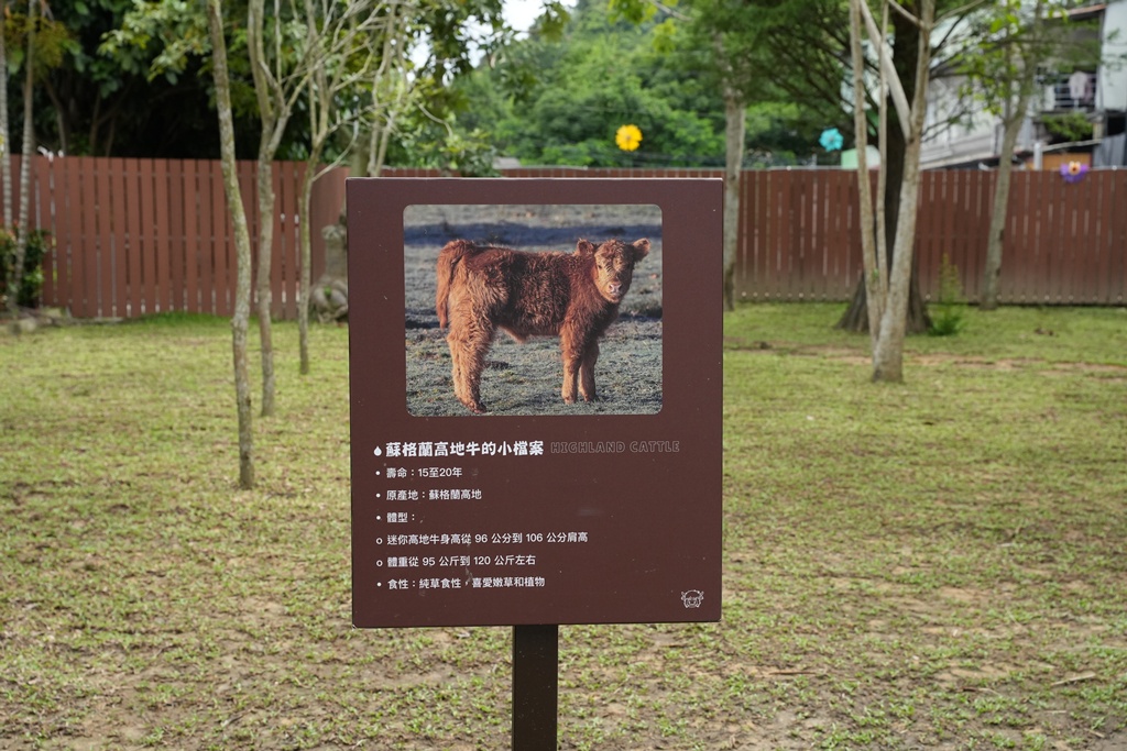 南投親子景點,埔里景點,埔里水与松萌萌園,拍照打卡,果凍,水豚君,茶葉蛋,草泥馬,門票優惠,餵動物