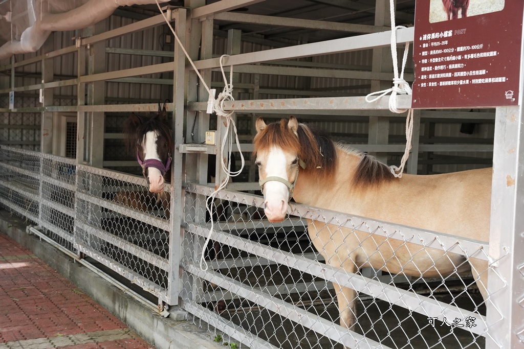 南投親子景點,埔里景點,埔里水与松萌萌園,拍照打卡,果凍,水豚君,茶葉蛋,草泥馬,門票優惠,餵動物