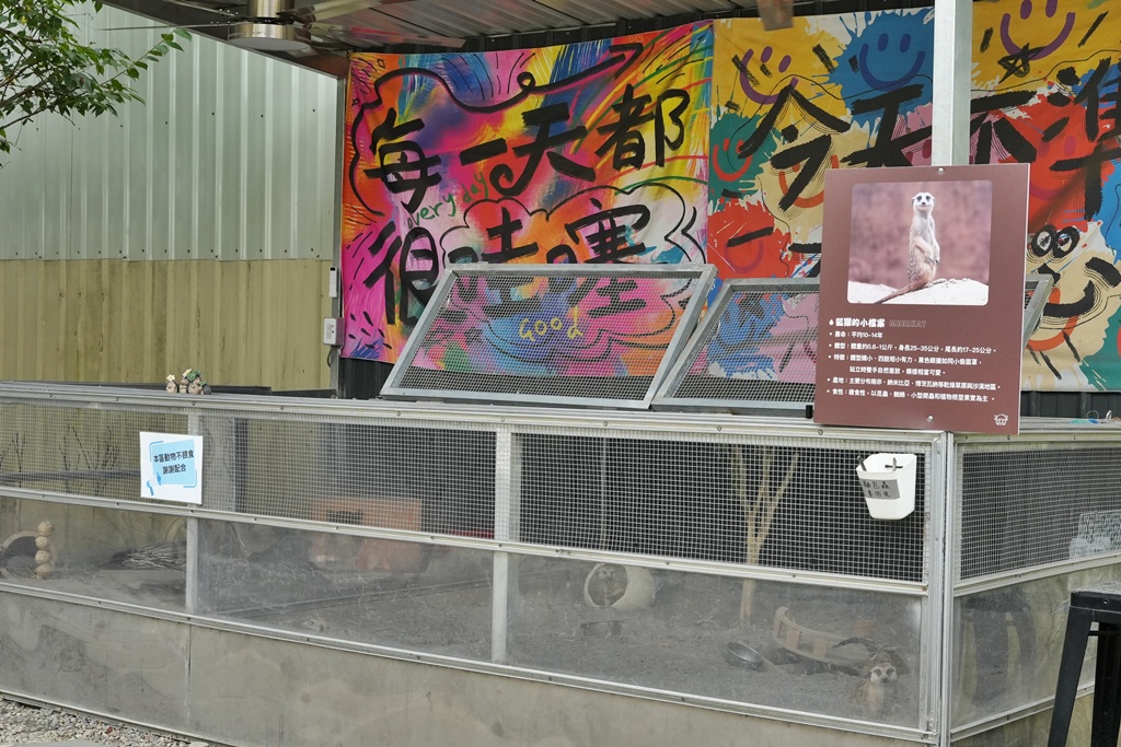 南投親子景點,埔里景點,埔里水与松萌萌園,拍照打卡,果凍,水豚君,茶葉蛋,草泥馬,門票優惠,餵動物