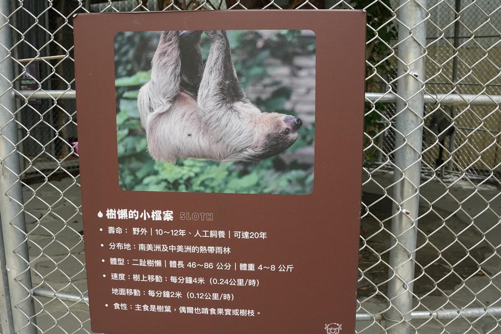 南投親子景點,埔里景點,埔里水与松萌萌園,拍照打卡,果凍,水豚君,茶葉蛋,草泥馬,門票優惠,餵動物