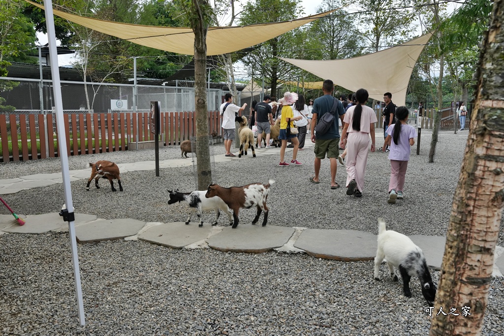 南投親子景點,埔里景點,埔里水与松萌萌園,拍照打卡,果凍,水豚君,茶葉蛋,草泥馬,門票優惠,餵動物