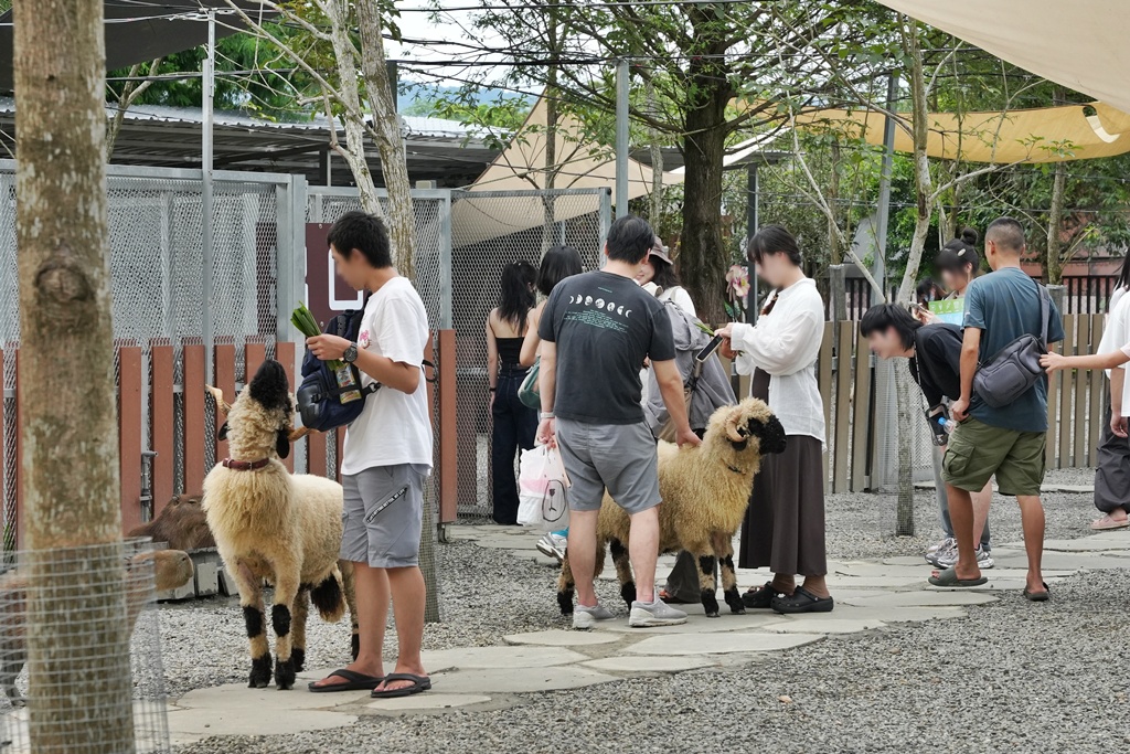 南投親子景點,埔里景點,埔里水与松萌萌園,拍照打卡,果凍,水豚君,茶葉蛋,草泥馬,門票優惠,餵動物