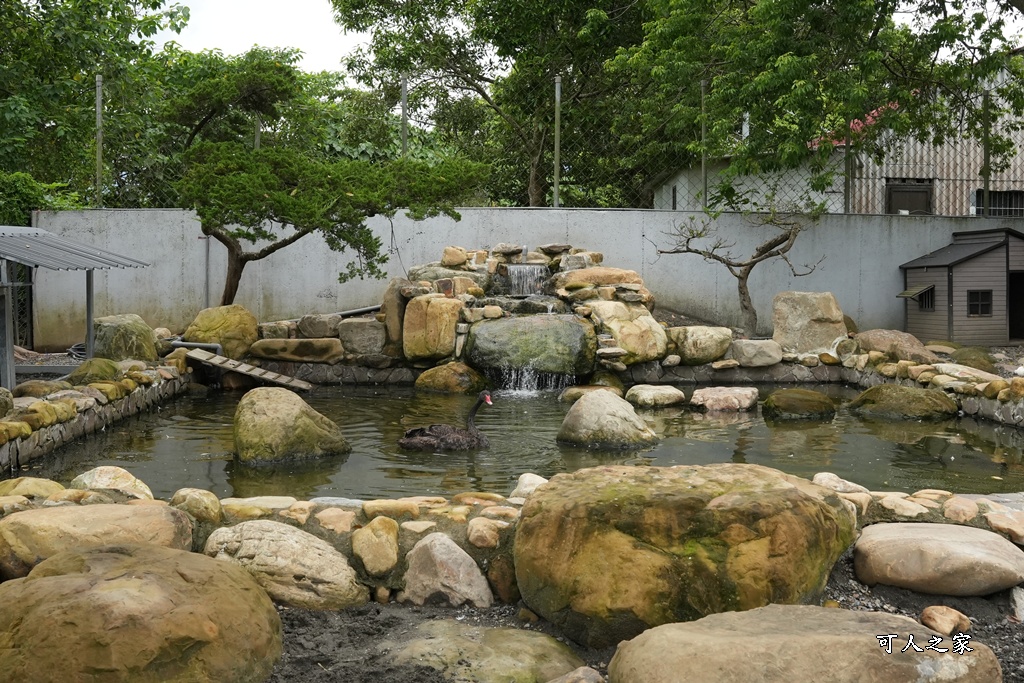 南投親子景點,埔里景點,埔里水与松萌萌園,拍照打卡,果凍,水豚君,茶葉蛋,草泥馬,門票優惠,餵動物