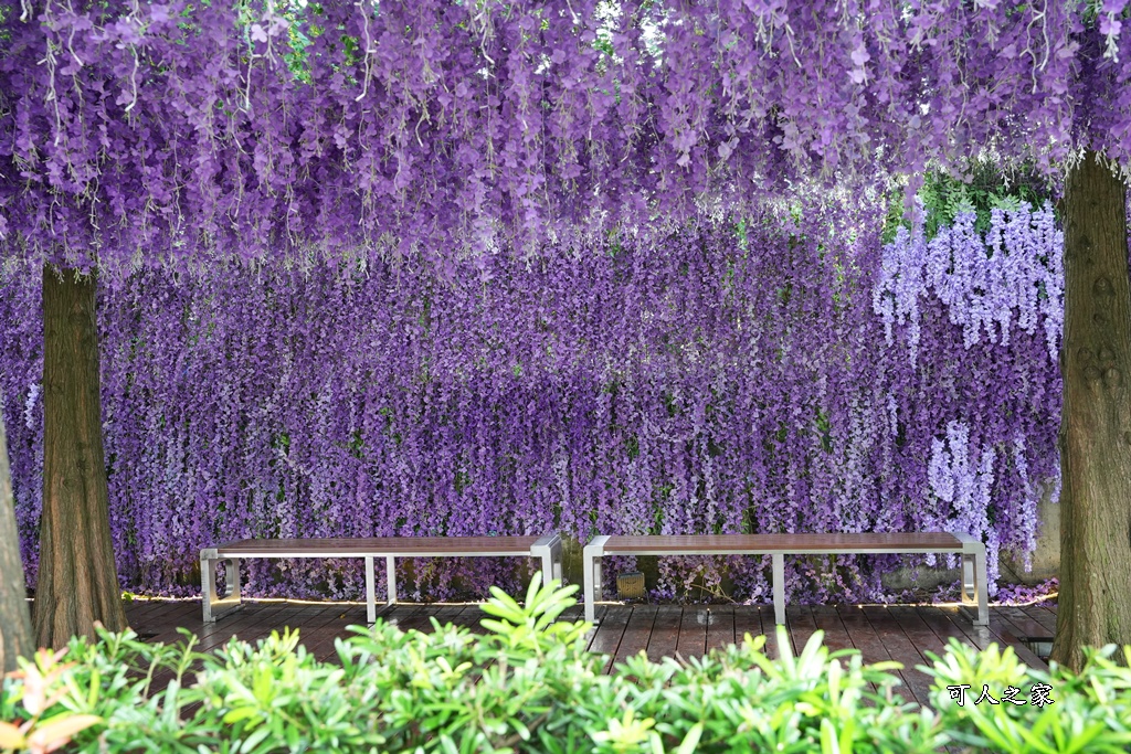 南投親子景點,埔里景點,埔里水与松萌萌園,拍照打卡,果凍,水豚君,茶葉蛋,草泥馬,門票優惠,餵動物