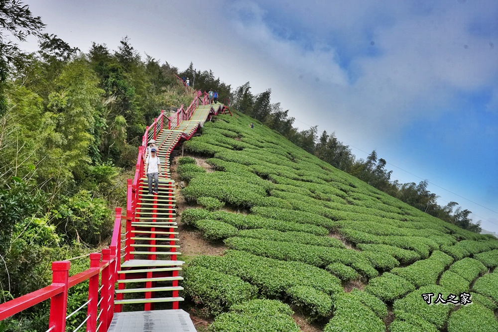 二尖山步道,嘉義抹茶山,嘉義景點步道,頂尖觀光農場,高山美景 @可人之家