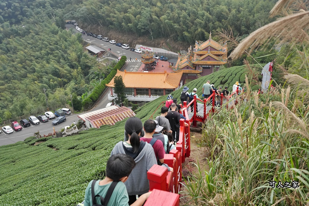 二尖山步道,嘉義抹茶山,嘉義景點步道,頂尖觀光農場,高山美景