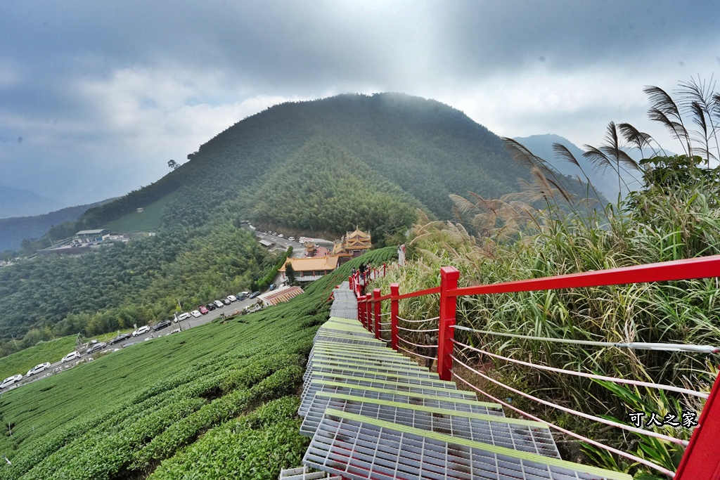 二尖山步道,嘉義抹茶山,嘉義景點步道,頂尖觀光農場,高山美景