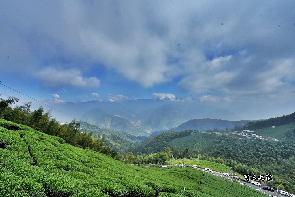 二尖山步道,嘉義抹茶山,嘉義景點步道,頂尖觀光農場,高山美景