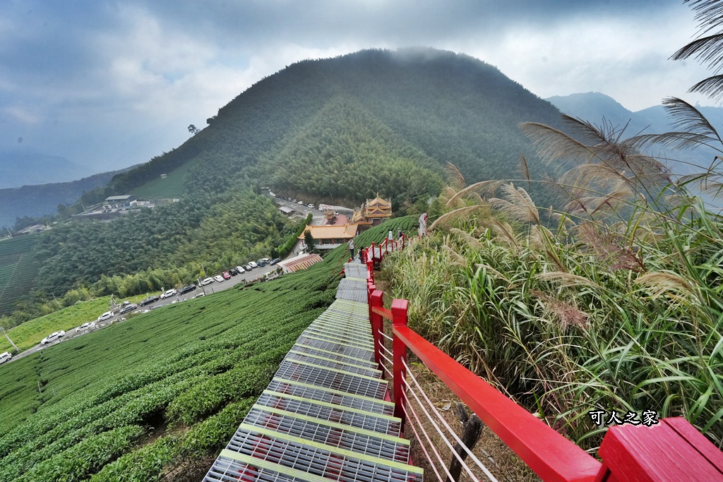 二尖山步道,嘉義抹茶山,嘉義景點步道,頂尖觀光農場,高山美景