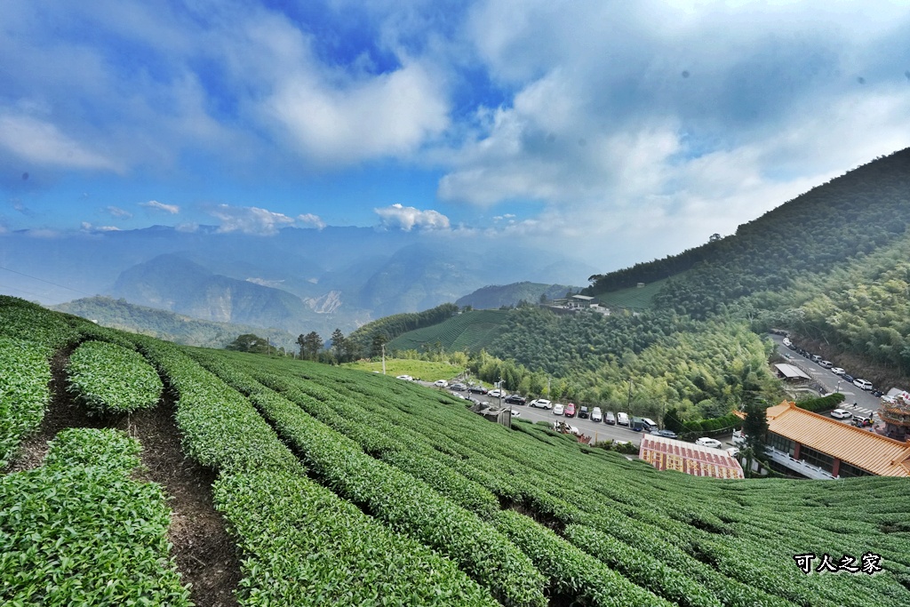 二尖山步道,嘉義抹茶山,嘉義景點步道,頂尖觀光農場,高山美景