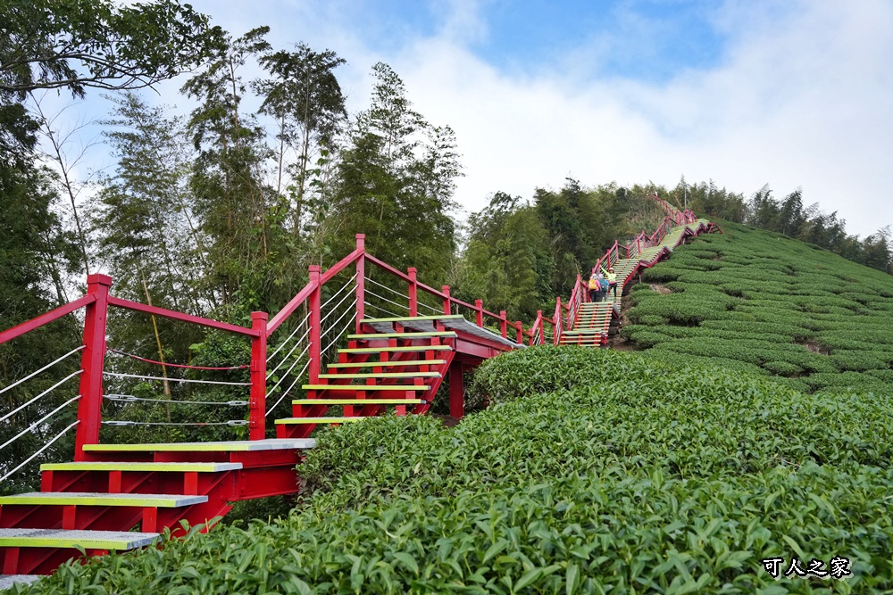 二尖山步道,嘉義抹茶山,嘉義景點步道,頂尖觀光農場,高山美景