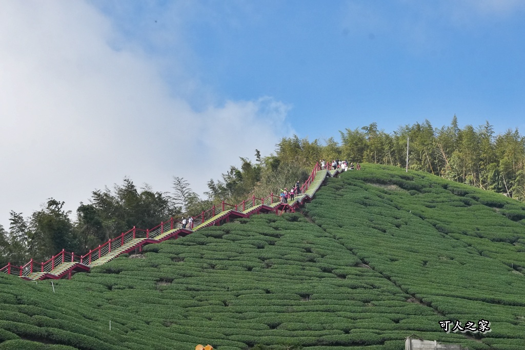 二尖山步道,嘉義抹茶山,嘉義景點步道,頂尖觀光農場,高山美景