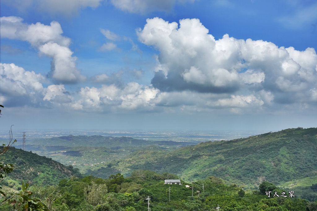 175咖啡公路,180度山景,停車場,台南咖啡廳,台南旅遊推薦,台南景觀餐廳,台南秘境,台南約會,台南美食,咖啡公路景點,咖啡果露雞腿鍋,大鋤花間,大鋤花間咖啡生態農場,室內用餐,寵物友善（雖然原文沒強調寵物可入，但有貓咪可暗示友好度）,山景咖啡廳,心靈療癒,戶外用餐,放鬆,東山咖啡,東山景觀餐廳,東山美食,樹屋餐廳,浪漫花園,療癒秘境,網美打卡,親子景點,韓式泡菜鍋,預約