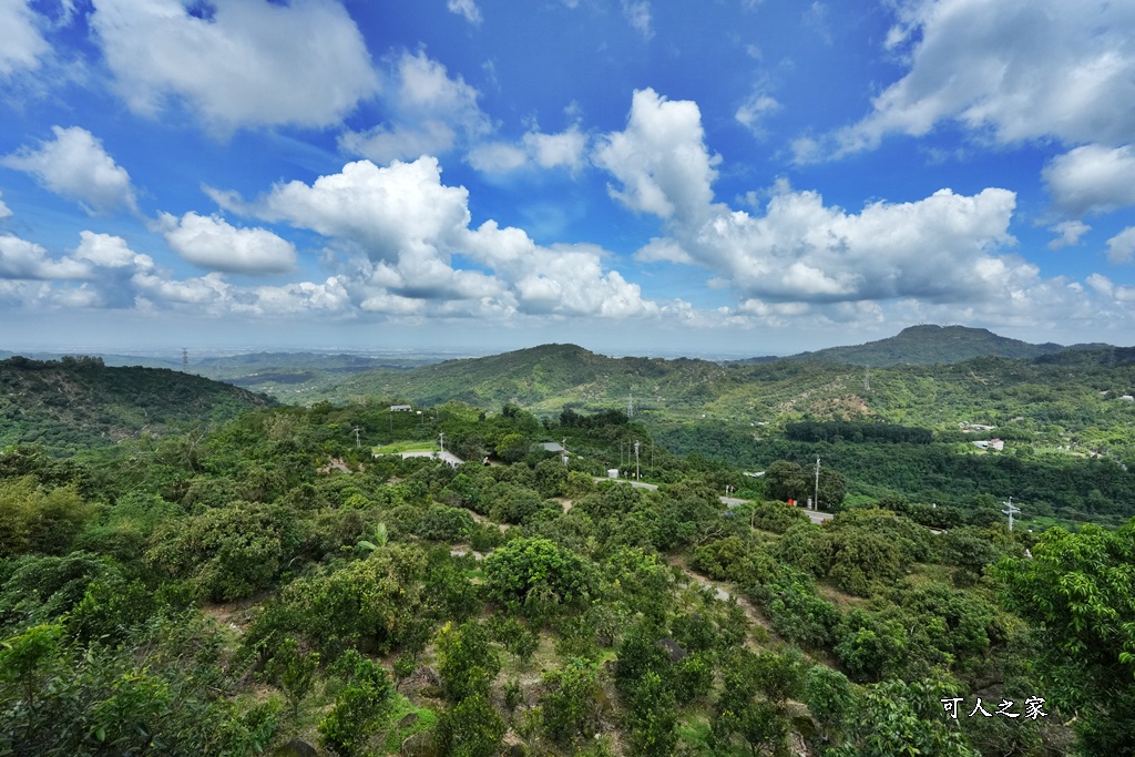 175咖啡公路,180度山景,停車場,台南咖啡廳,台南旅遊推薦,台南景觀餐廳,台南秘境,台南約會,台南美食,咖啡公路景點,咖啡果露雞腿鍋,大鋤花間,大鋤花間咖啡生態農場,室內用餐,寵物友善（雖然原文沒強調寵物可入，但有貓咪可暗示友好度）,山景咖啡廳,心靈療癒,戶外用餐,放鬆,東山咖啡,東山景觀餐廳,東山美食,樹屋餐廳,浪漫花園,療癒秘境,網美打卡,親子景點,韓式泡菜鍋,預約