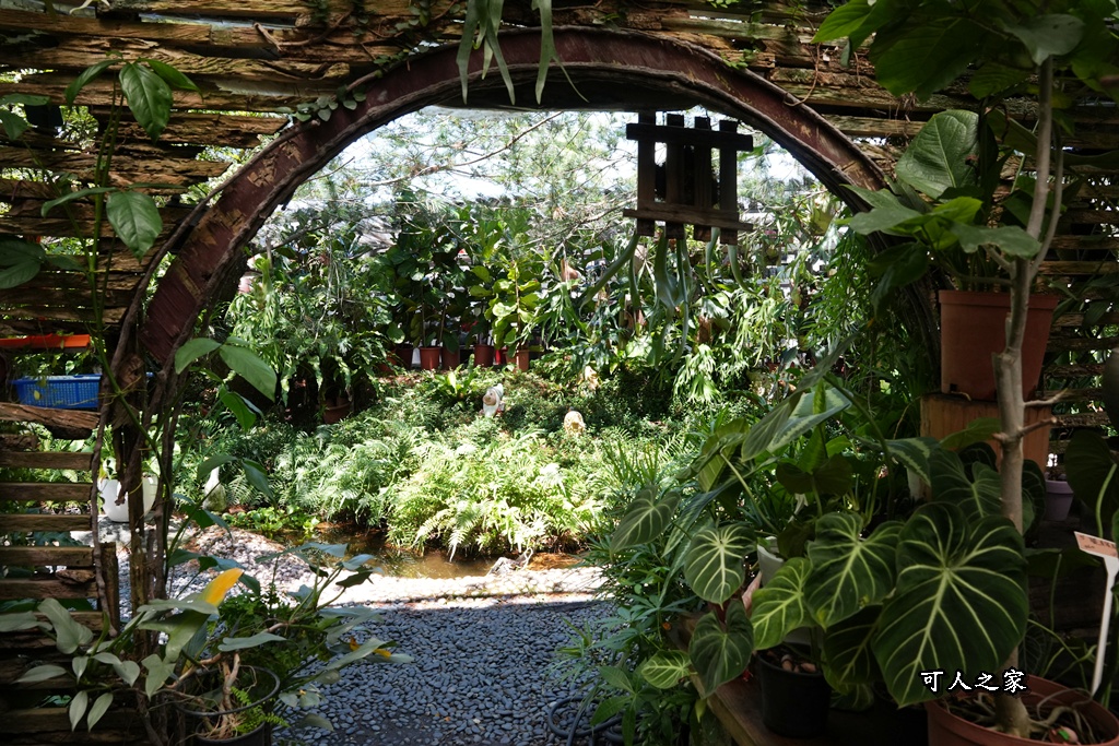 南投文心園,南投景點,南投秘境,南投美食,南投花園餐廳,拍照景點,文化園藝店,文心園,歐式建築,歐風莊園,異國情調,絕美花園餐廳,網美打卡必訪,陸龜