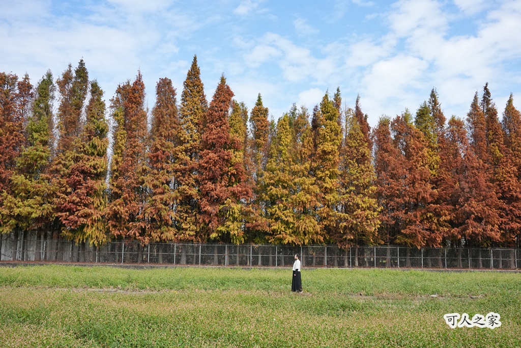 ST workshop,假日限定,台中外埔咖啡廳,台中秘境,城市充電,外埔景點,手作點心,放鬆景點,田園咖啡,落羽松咖啡