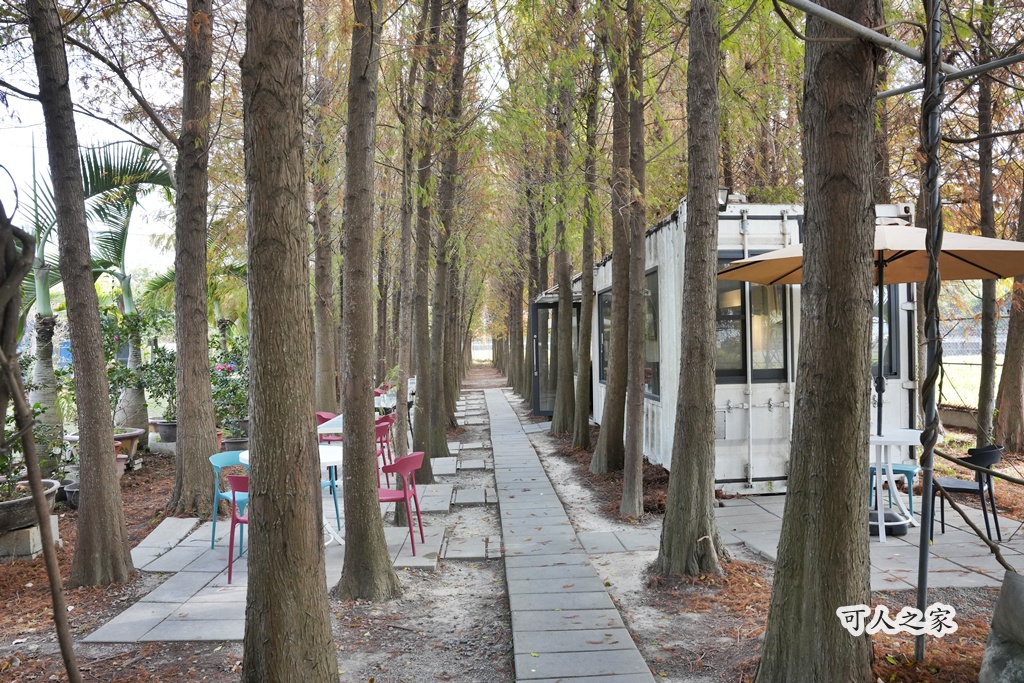 ST workshop,假日限定,台中外埔咖啡廳,台中秘境,城市充電,外埔景點,手作點心,放鬆景點,田園咖啡,落羽松咖啡