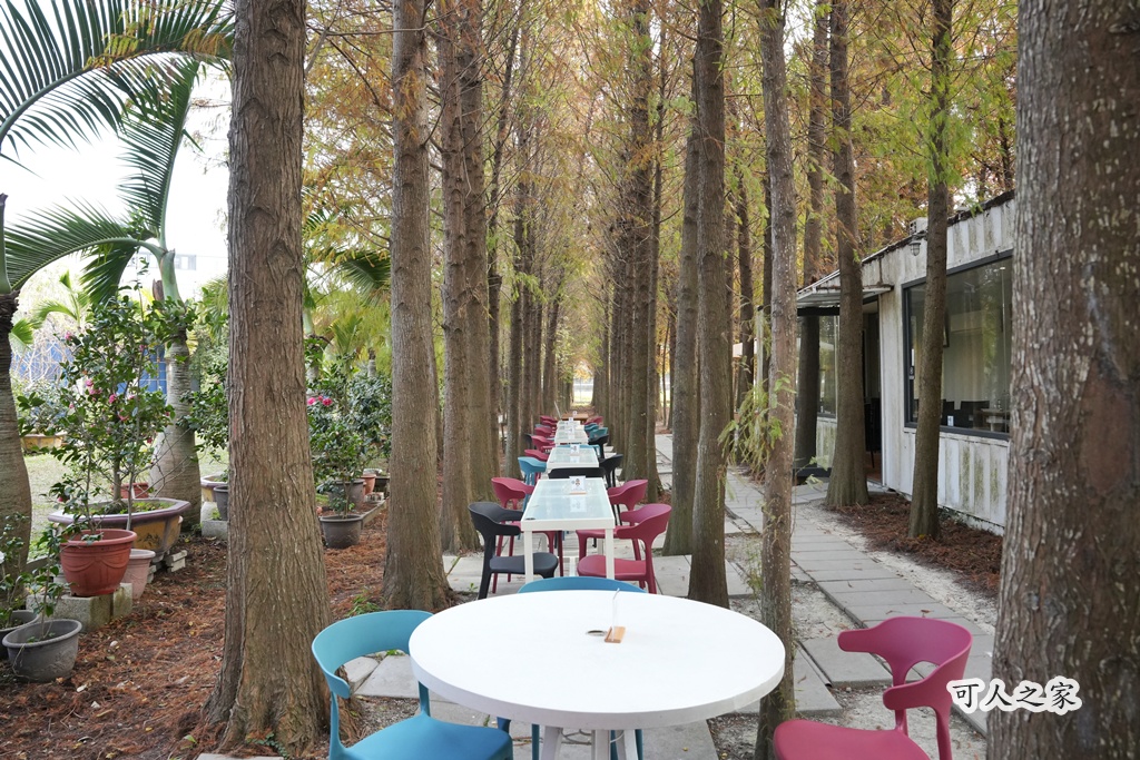 ST workshop,假日限定,台中外埔咖啡廳,台中秘境,城市充電,外埔景點,手作點心,放鬆景點,田園咖啡,落羽松咖啡