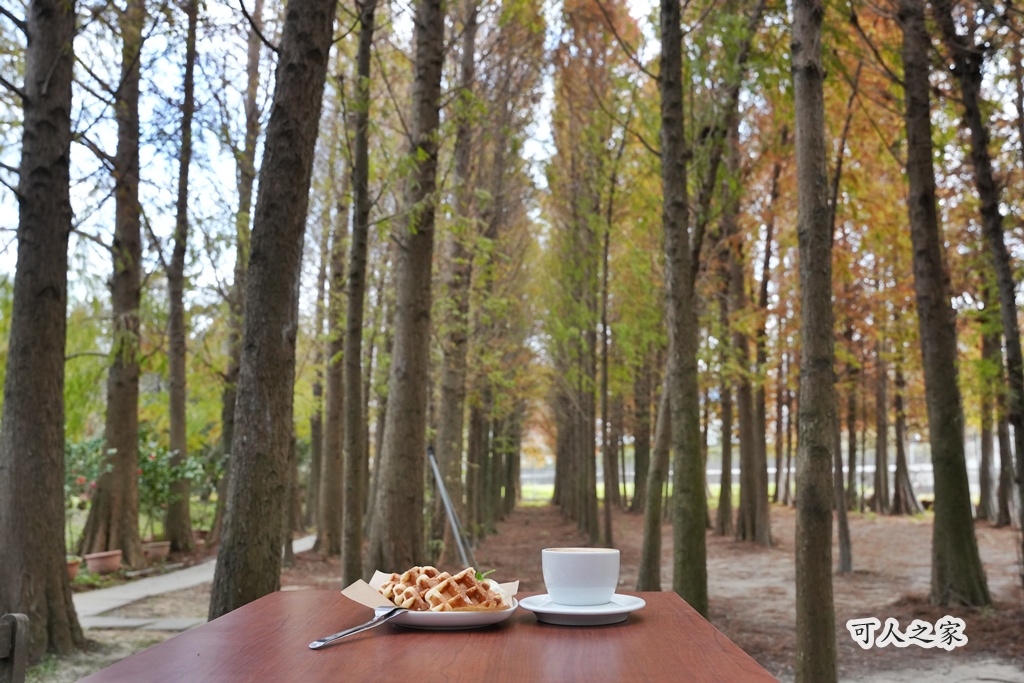 網站近期文章：台中外埔【ST workshop 手作烘焙坊】落羽松咖啡秘境！靜謐田園風手作點心，放鬆充電必訪！