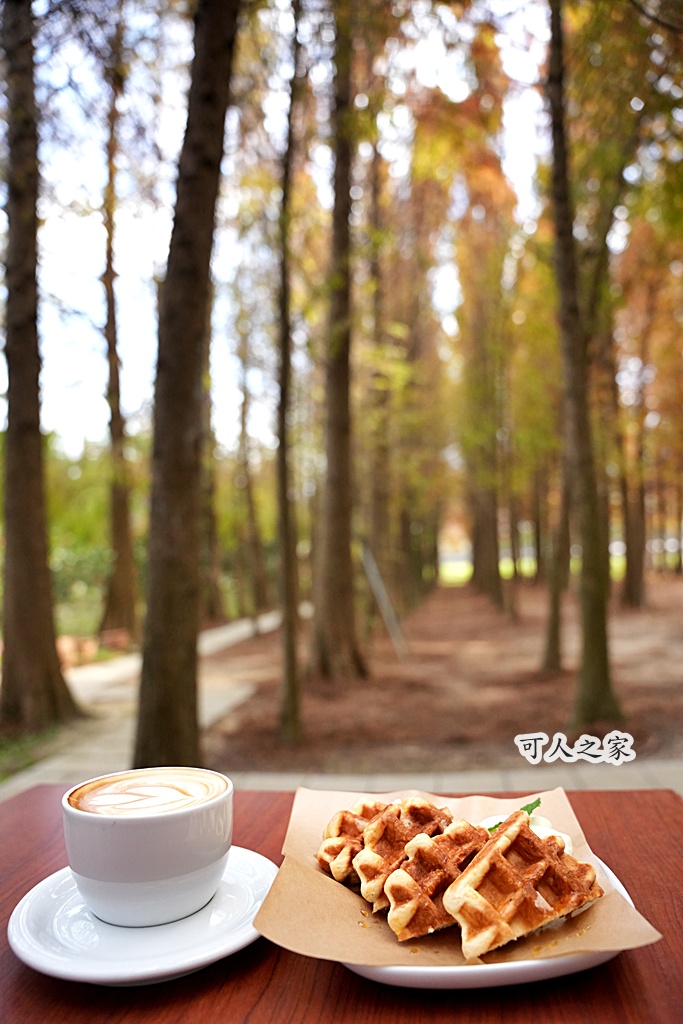 ST workshop,假日限定,台中外埔咖啡廳,台中秘境,城市充電,外埔景點,手作點心,放鬆景點,田園咖啡,落羽松咖啡