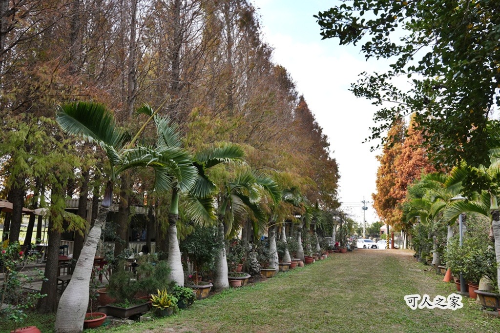 ST workshop,假日限定,台中外埔咖啡廳,台中秘境,城市充電,外埔景點,手作點心,放鬆景點,田園咖啡,落羽松咖啡