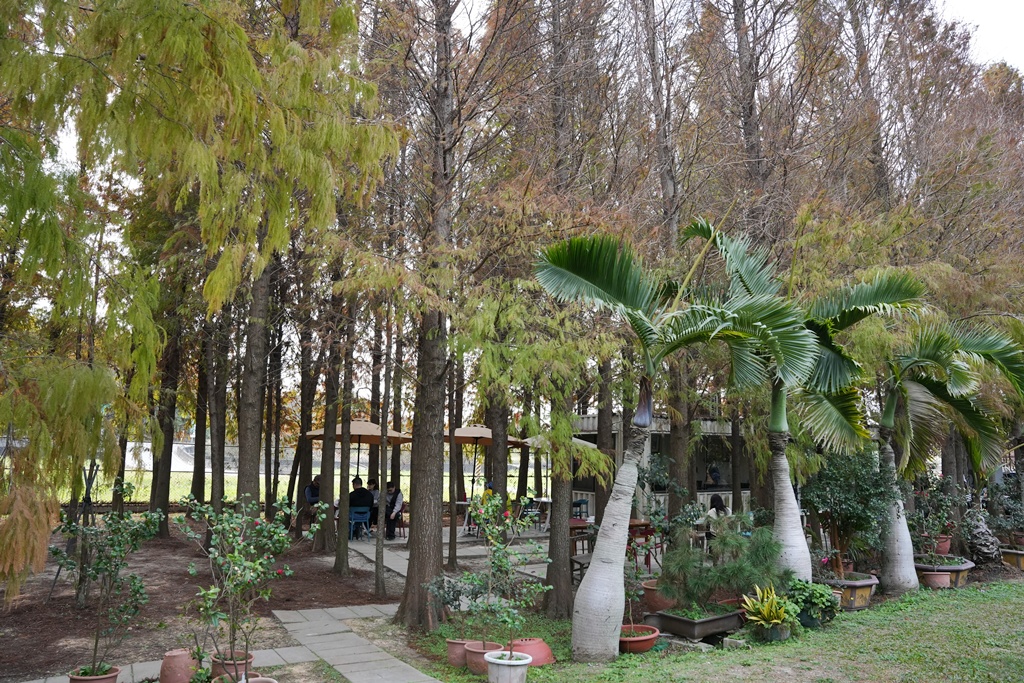 ST workshop,假日限定,台中外埔咖啡廳,台中秘境,城市充電,外埔景點,手作點心,放鬆景點,田園咖啡,落羽松咖啡