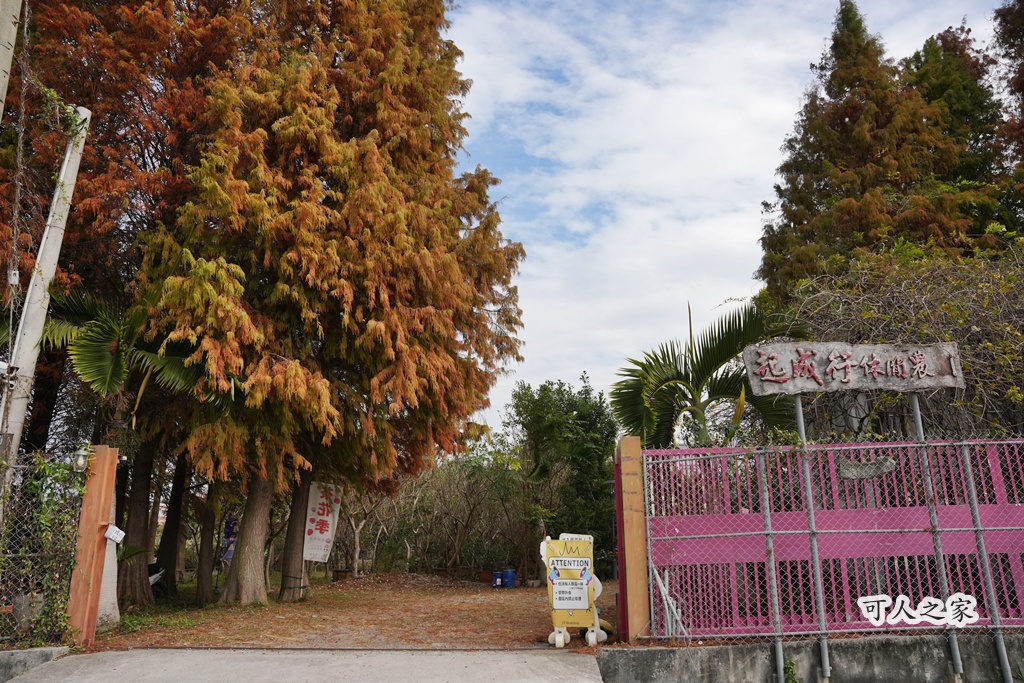 ST workshop,假日限定,台中外埔咖啡廳,台中秘境,城市充電,外埔景點,手作點心,放鬆景點,田園咖啡,落羽松咖啡