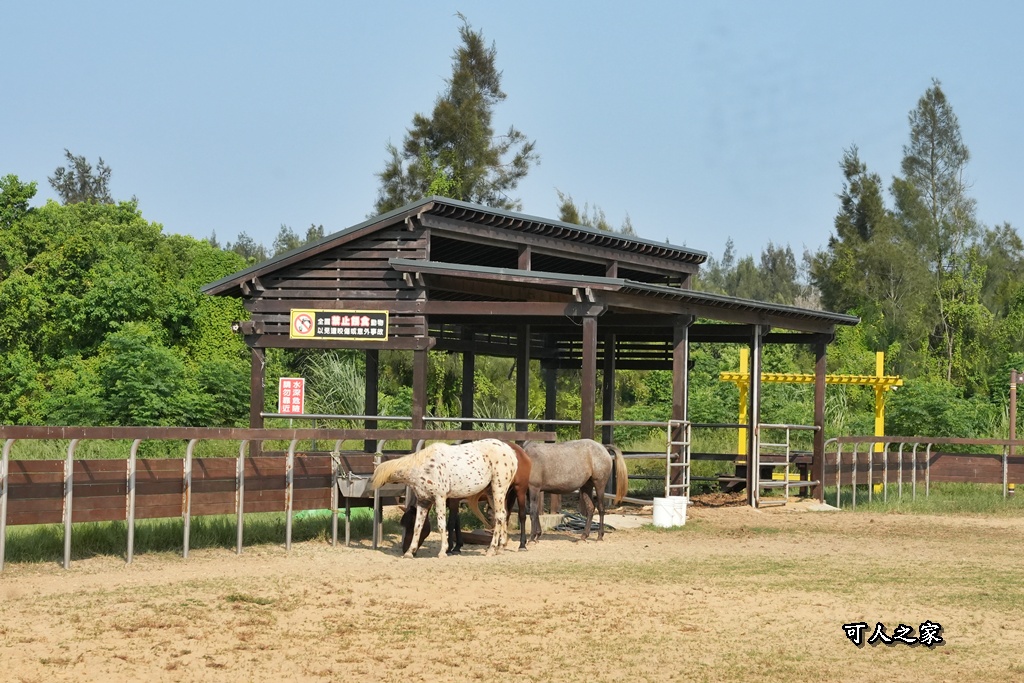 布拉安格園區,金牪餐廳,金門一日遊,金門免門票,金門動物園,金門好玩,金門打卡景點,金門旅遊,金門景點,金門溜滑梯,金門畜產試驗所,金門縣畜產試驗所,金門美食,金門親子景點,金門餵動物 布拉安格園區,金牪餐廳,金門一日遊,金門免門票,金門動物園,金門好玩,金門打卡景點,金門旅遊,金門景點,金門溜滑梯,金門畜產試驗所,金門縣畜產試驗所,金門美食,金門親子景點,金門餵動物