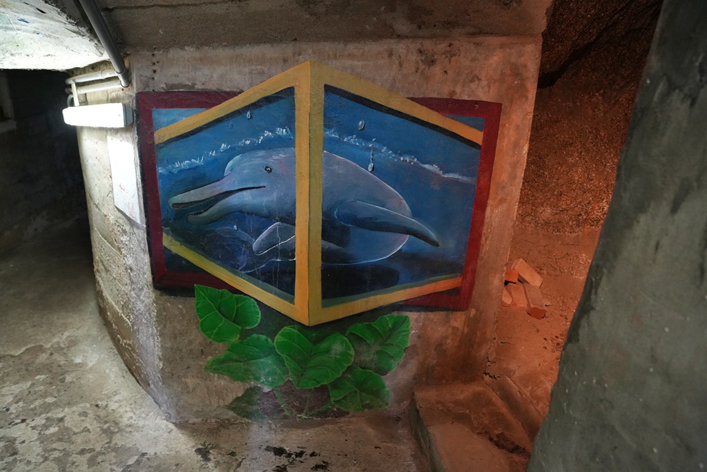 : 金門沙溪堡,大膽島,好拍好玩,廈門,沙溪堡取景角度,沙溪堡坑道,沙溪堡彩繪坑道,沙溪堡拍照,沙溪堡海景,網美照,金門一日遊,金門必拍,金門情侶景點,金門戰地風情,金門旅遊景點推薦,金門最美木棧道,金門沙溪堡攻略,金門網美景點,金門觀廈門 : 金門沙溪堡,大膽島,好拍好玩,廈門,沙溪堡取景角度,沙溪堡坑道,沙溪堡彩繪坑道,沙溪堡拍照,沙溪堡海景,網美照,金門一日遊,金門必拍,金門情侶景點,金門戰地風情,金門旅遊景點推薦,金門最美木棧道,金門沙溪堡攻略,金門網美景點,金門觀廈門