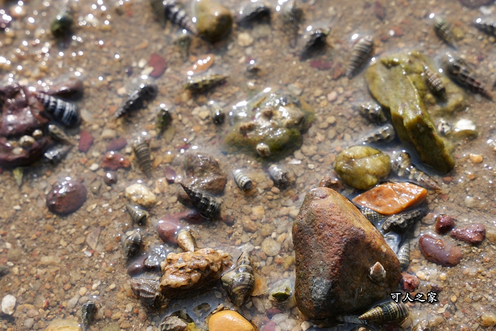 #金門夜景 #金門晚上 #金門景點 #金門旅遊 #夢幻夜景 #金門打卡 #浪漫約會 #姐妹出遊 #金門自由行 #得月樓 #存德藥房 #雙口海邊 #後浦藝文特區 #昇恆昌 #金門夜景 #金門晚上 #金門景點 #金門旅遊 #夢幻夜景 #金門打卡 #浪漫約會 #姐妹出遊 #金門自由行 #得月樓 #存德藥房 #雙口海邊 #後浦藝文特區 #昇恆昌