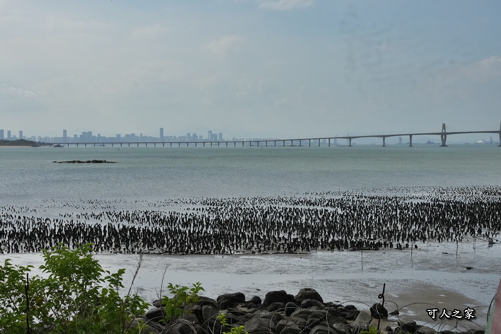 廈門景色,建功嶼交通,建功嶼步道,建功嶼生態,建功嶼觀景平台,建功嶼退潮,建功嶼鞋子,海邊吹吹風金門,牡蠣人裝置藝術,網美景點金門,親子景點金門,退潮時間金門,鄭成功銅像,金門一日遊,金門即時影像,金門大橋,金門建功嶼,金門必玩,金門必訪景點,金門打卡,金門摩西分海,金門旅遊,金門景點推薦,金門潮汐,金門潮間帶,金門玩什麼,金門秘境,金門秘境景點,金門自由行 廈門景色,建功嶼交通,建功嶼步道,建功嶼生態,建功嶼觀景平台,建功嶼退潮,建功嶼鞋子,海邊吹吹風金門,牡蠣人裝置藝術,網美景點金門,親子景點金門,退潮時間金門,鄭成功銅像,金門一日遊,金門即時影像,金門大橋,金門建功嶼,金門必玩,金門必訪景點,金門打卡,金門摩西分海,金門旅遊,金門景點推薦,金門潮汐,金門潮間帶,金門玩什麼,金門秘境,金門秘境景點,金門自由行