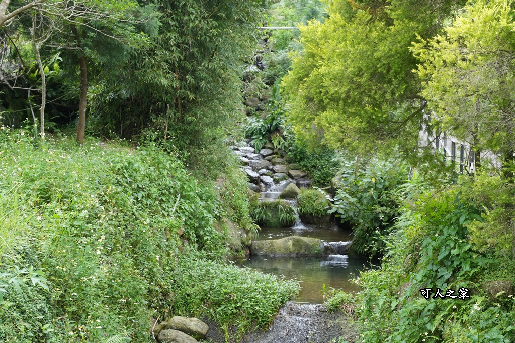 假日限定,寵物友善,森林系餐廳,歐式古堡,漫步雲端森林廚房,網美餐廳,自助沙拉吧吃到飽,苗栗三義,苗栗美食,餐廳預約