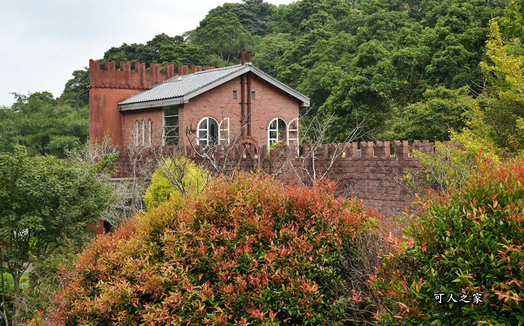 假日限定,寵物友善,森林系餐廳,歐式古堡,漫步雲端森林廚房,網美餐廳,自助沙拉吧吃到飽,苗栗三義,苗栗美食,餐廳預約