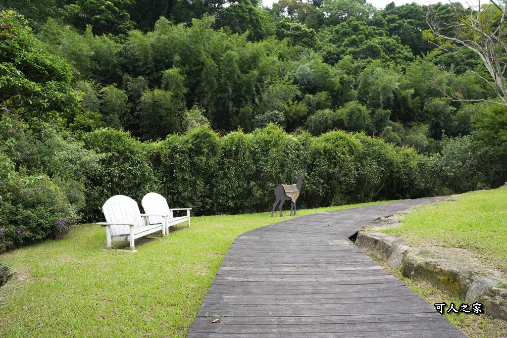 假日限定,寵物友善,森林系餐廳,歐式古堡,漫步雲端森林廚房,網美餐廳,自助沙拉吧吃到飽,苗栗三義,苗栗美食,餐廳預約