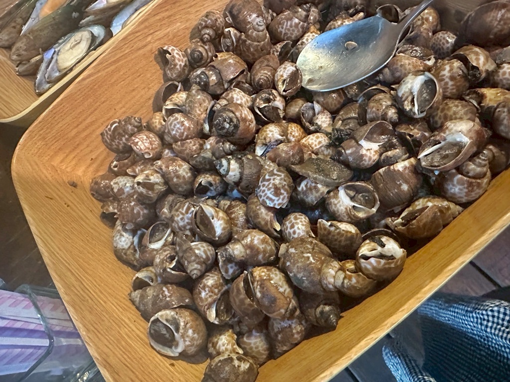 假日限定,寵物友善,森林系餐廳,歐式古堡,漫步雲端森林廚房,網美餐廳,自助沙拉吧吃到飽,苗栗三義,苗栗美食,餐廳預約